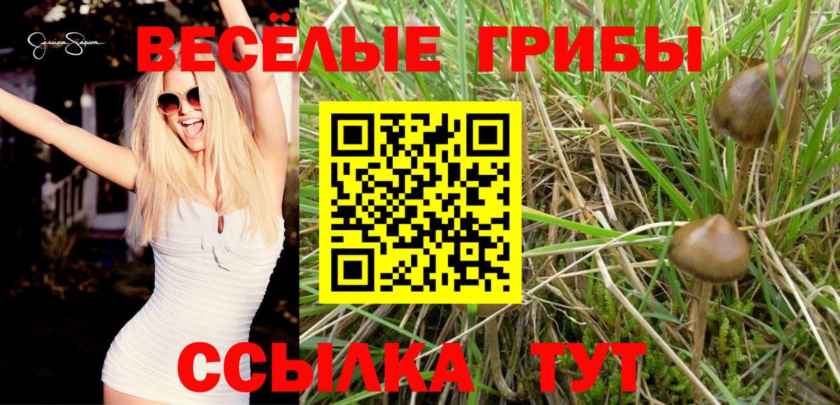 купить наркоту  Вход с VPN  Бор  Псилоцибиновые грибы GOLDEN TEACHER 